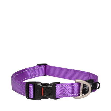 tau halsband hund Tau Halsband Sunny "Lime Slush"  Bellodonna
