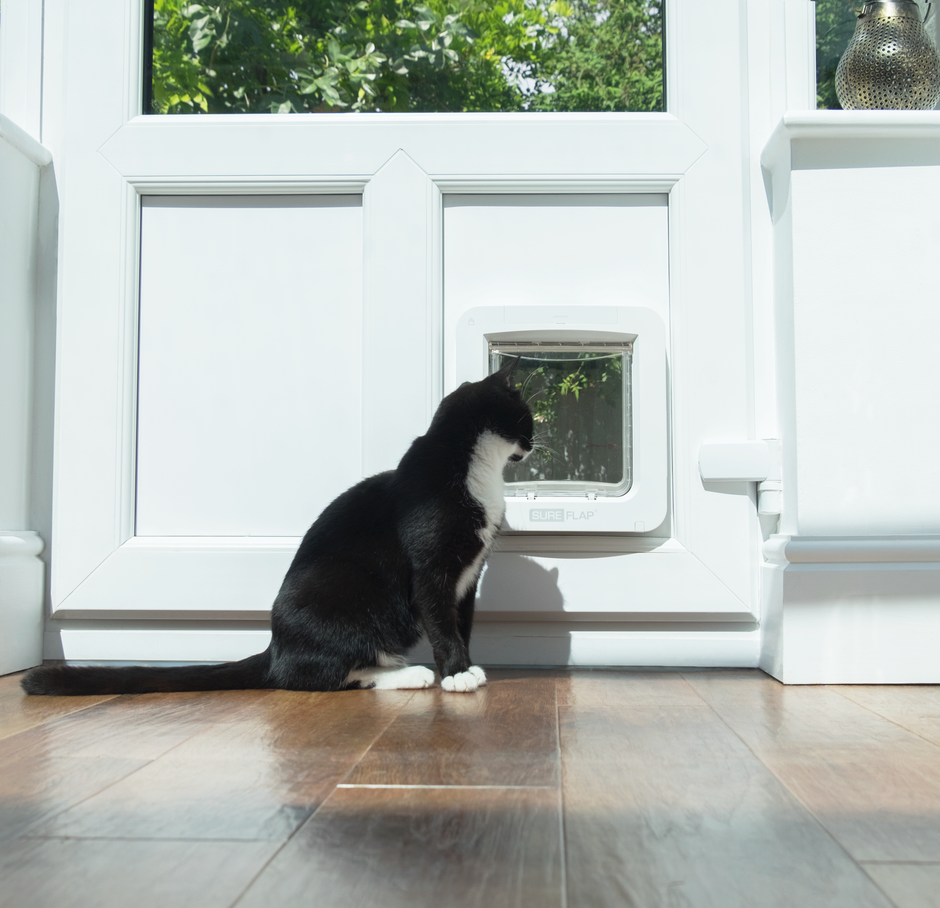 Sure pet door clearance