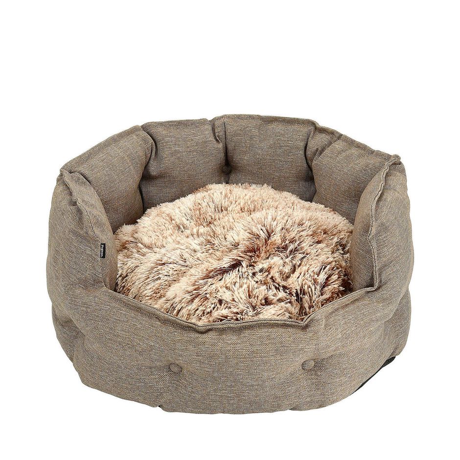 Kaufen Sie Classy Memory Foam Rundes Hundebett Beige | Tinybuddy