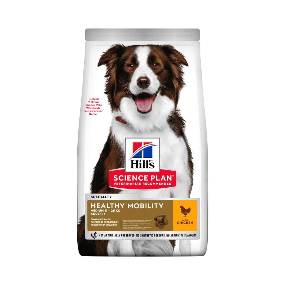 gratis hundespielzeug Hundespielzeug - Dental Pineapple - Planet Dog