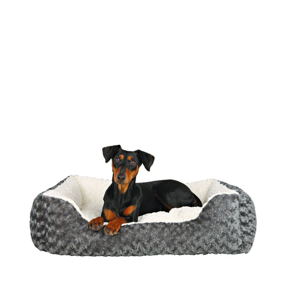 Kaufen Sie Kaline Hundebett fr Ihren Hund | Tinybuddy