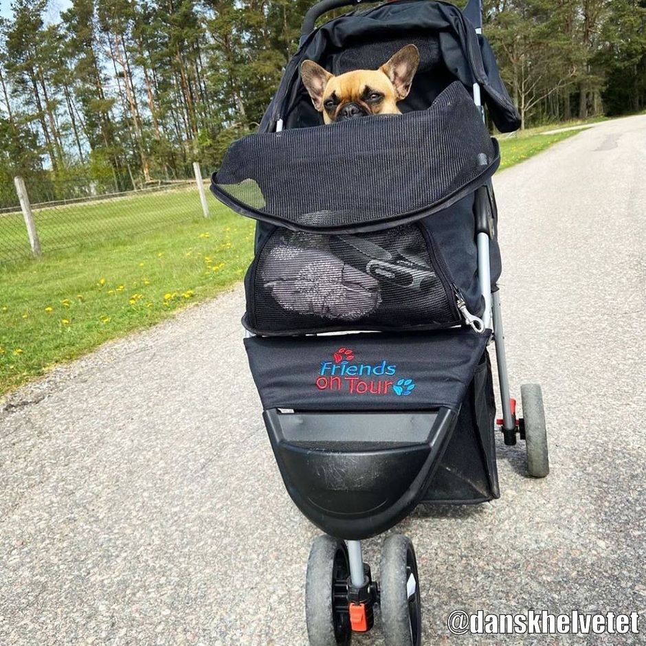 kinderwagen für hunde Faltbarer Hunde-Kinderwagen für Hunde – Universeller Outdoor-Wanderwag main image 1