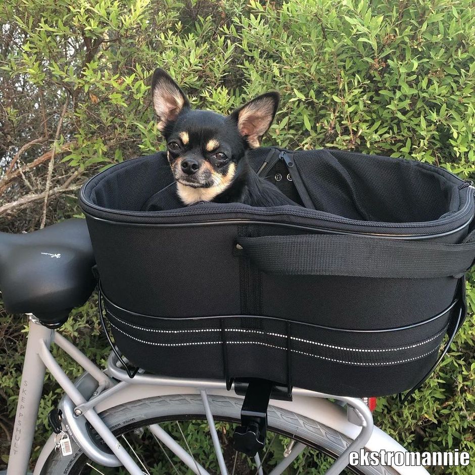 fahrradtaschen hinten Fahrradtasche fr Gepcktrger wasserdicht - 2 in 1