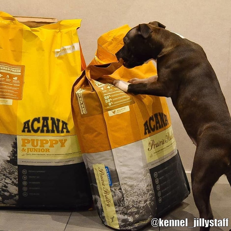 welpen hundemantel WARMUP cape Classic mini