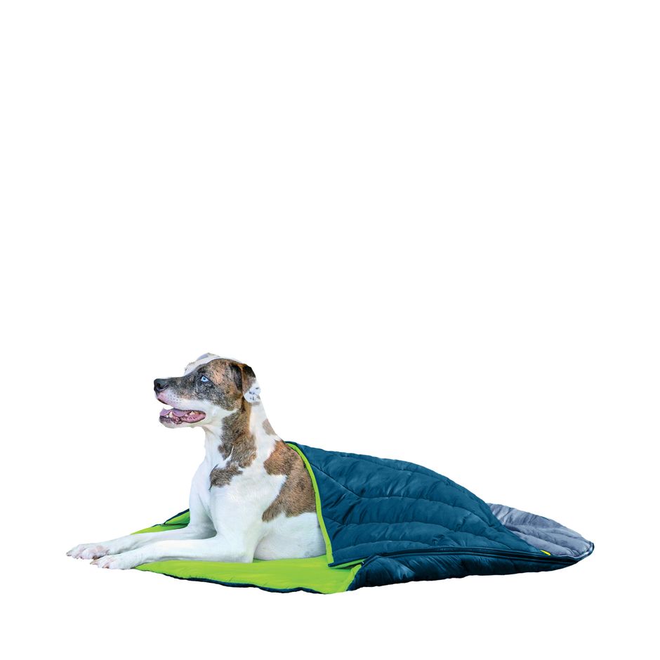 Kaufen Sie Kurgo Schlafsack fr Hunde fr Ihren Hund | Tinybuddy
