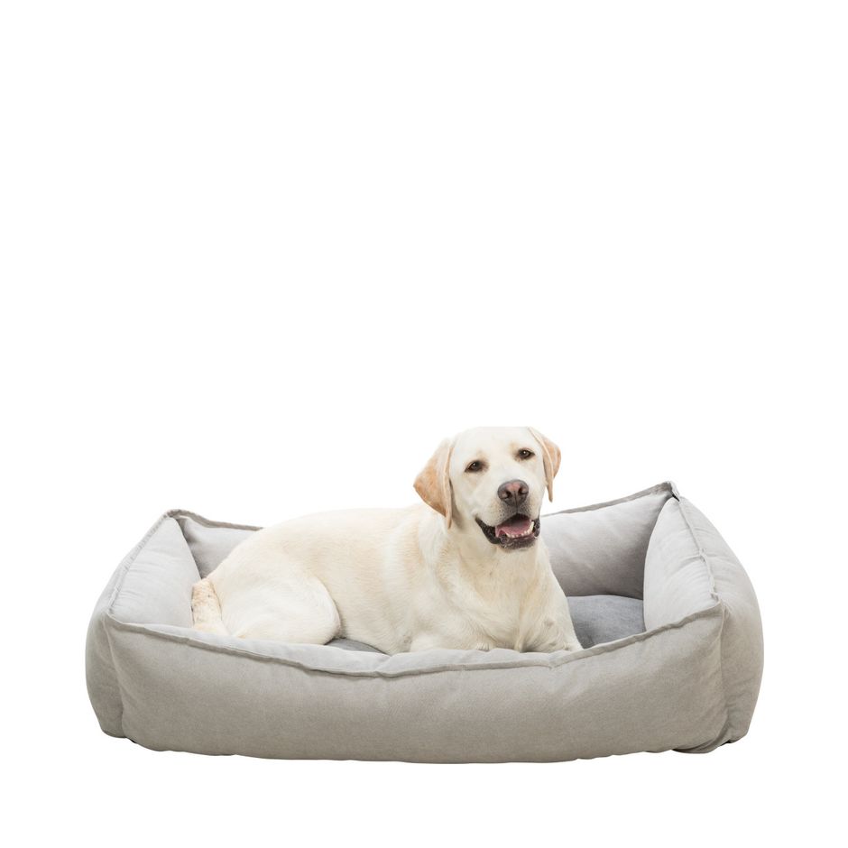 Kaufen Sie Hundebett Leni fr Ihren Hund | Tinybuddy