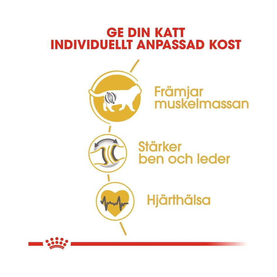 Kaufen Sie Royal Canin British Shorthair Adult | Tinybuddy