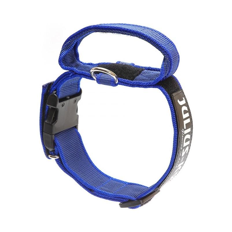 Kaufen Sie Julius-K9 C&G Hundehalsband mit Haltegriff | Tinybuddy